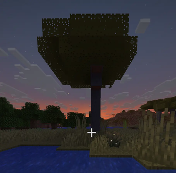 treeee