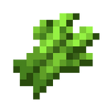 FastCane