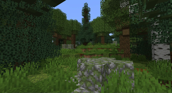 The Wild Forest biome