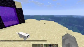 video of pets following across dimensions