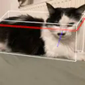 MadCat's Hitboxes