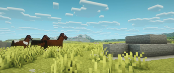Horses in the Plains