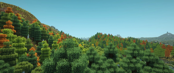 Seasonal Forests