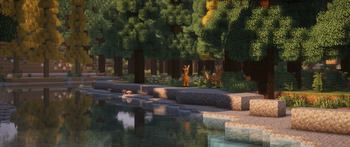 Life Along the Water