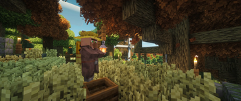 Village Life