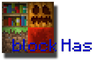 BlockHideAndSeek