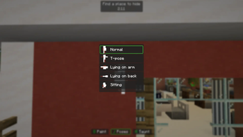Poses Menu
