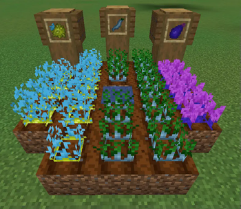 An array of the growable fruits and crops !