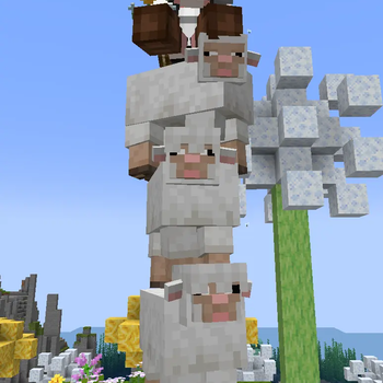 SOFT STACK