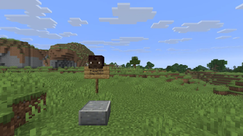 A player's grave