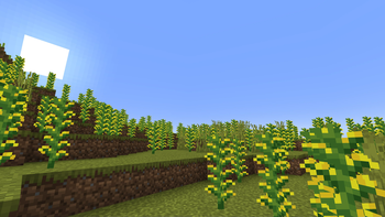 Iowa biome
