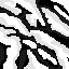 Modrinth profile picture for @kMD