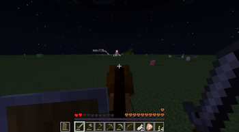 Horse riding
