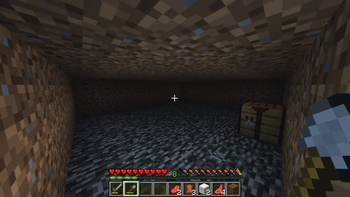Tunnel