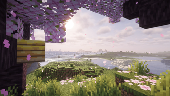 Cherry Blossom Zone and Honeybees