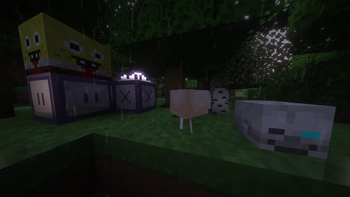 chicken