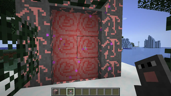 Portal in overworld