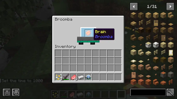 Giving the Broomba a brain