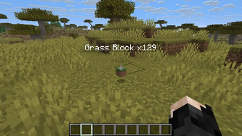 Grass Block x129