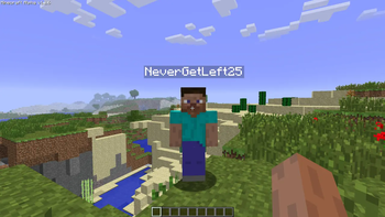 Works in multiplayer