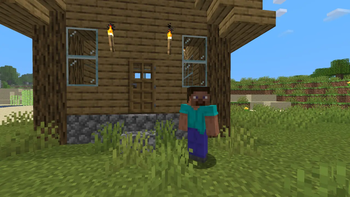 1.19 Modern steve