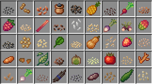 Preview of some of the seeds + respective crops