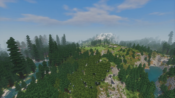 spruce forest