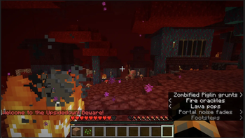 Welcome to the upside down!