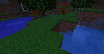 Not water!