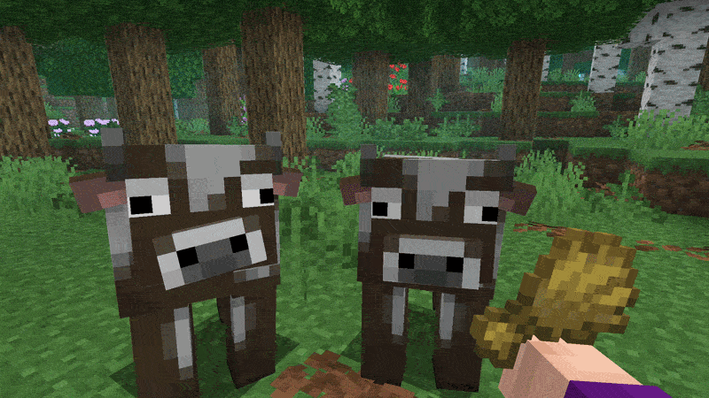 Breeding Cows