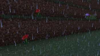 Rain 2