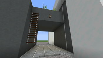 Rope Ladder and White Rope