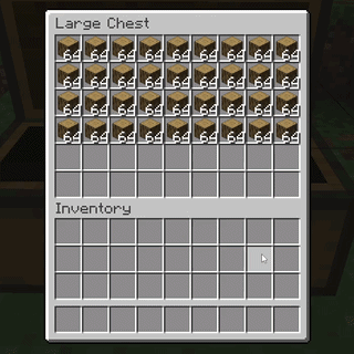 Chest