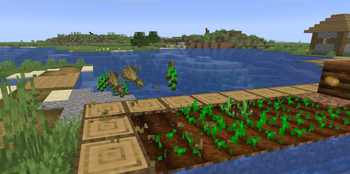 Breaking Wheat