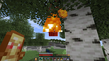 Bees