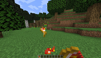 Eatable Glistering Melon Slice