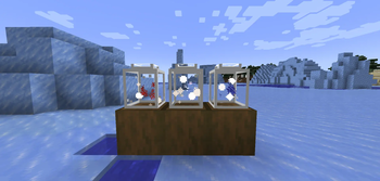 Some aurora bottles