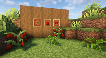 Tomato Journey