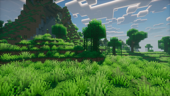 Jungle