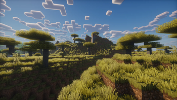 Savanna