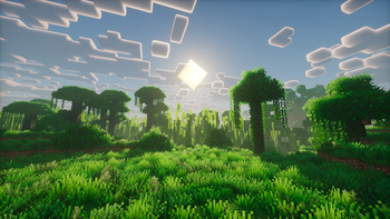 More Resource Packs