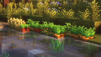 3D Crops Revamped