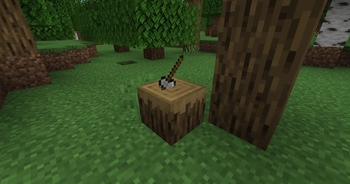 Chopping Block