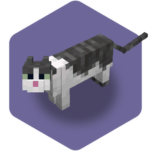 Catify
