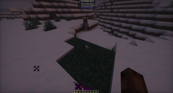 Mod Items