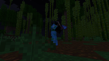 Animation