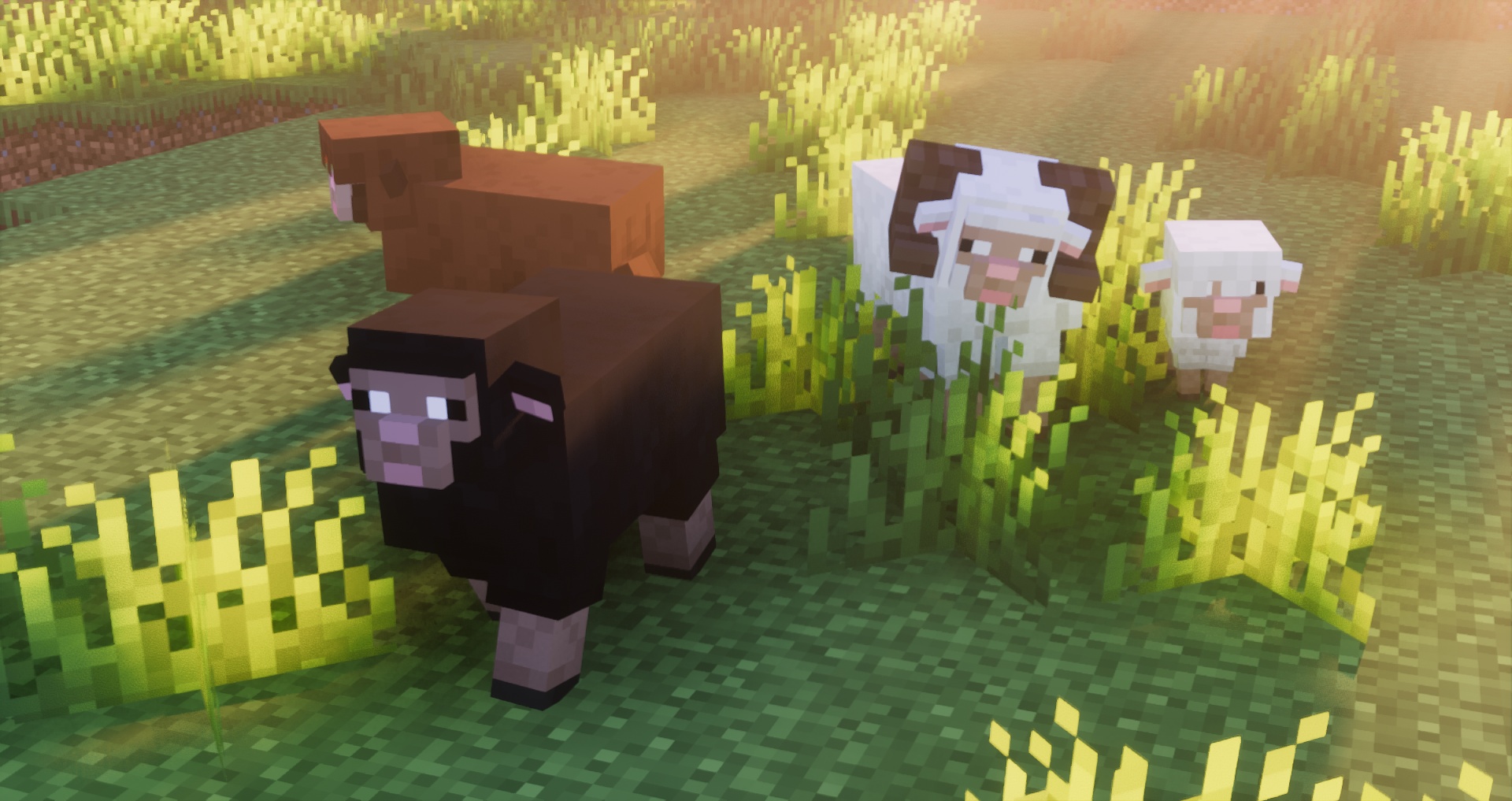 Fresh Animations: Details - 13