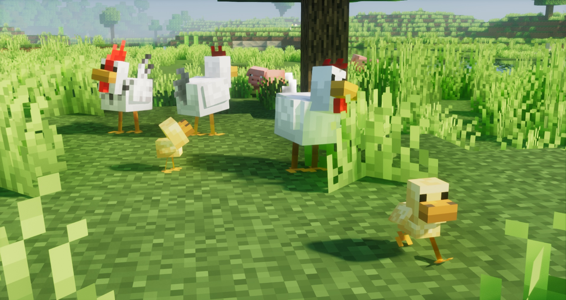 Fresh Animations: Details - 10