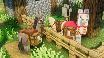 Mount Chests