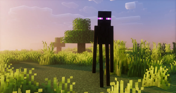 Enderman